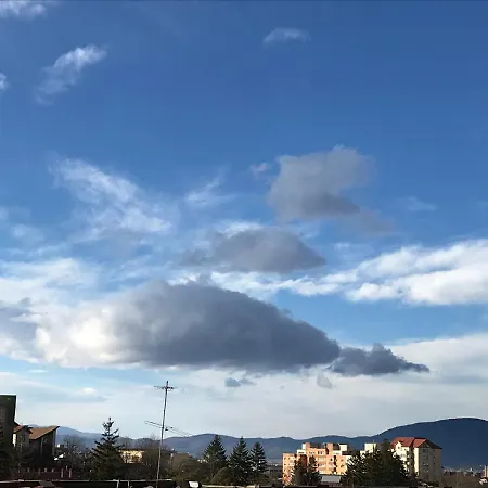 Onix * Brasov